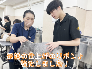 リボンの下地、ラッピングを強化！